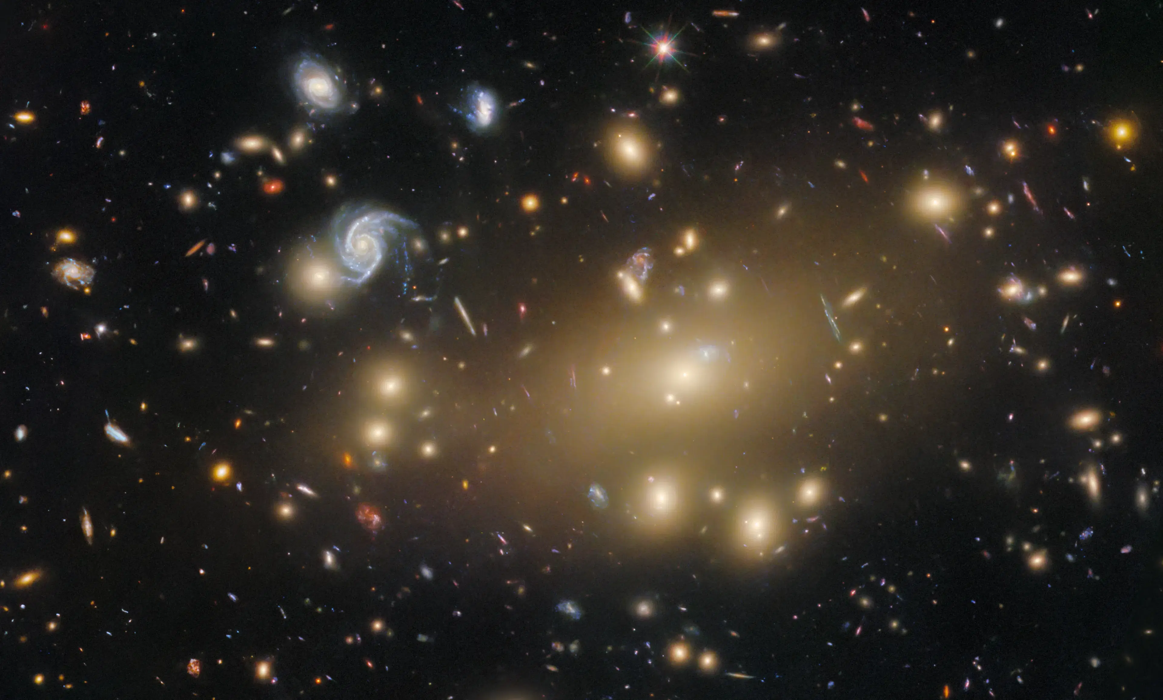 A cluster of galaxies
